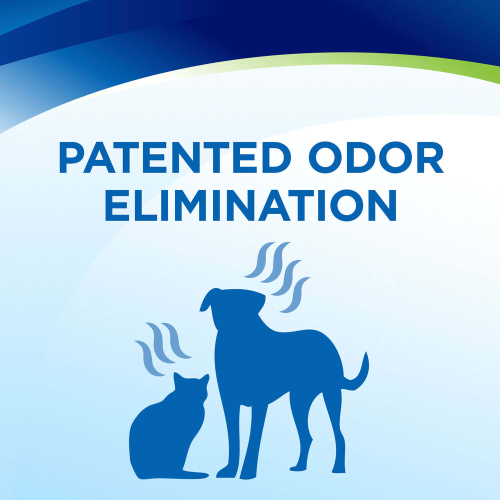 Woolite® Pet Carpet & Upholstery Foam 1321 Woolite Cleaner